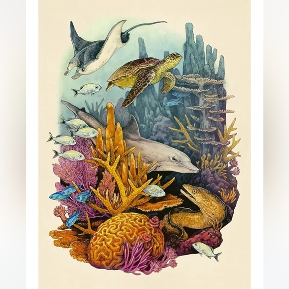 NEW Oceanarium Postcards by Teagan White and Loveday Trinick - Multicolor RARE - Picture 7 of 9